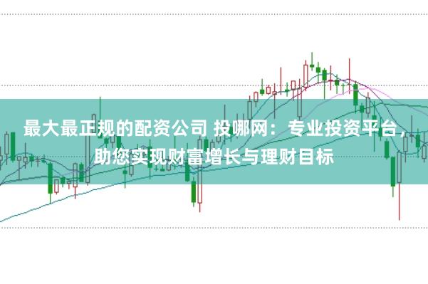 最大最正规的配资公司 投哪网：专业投资平台，助您实现财富增长与理财目标