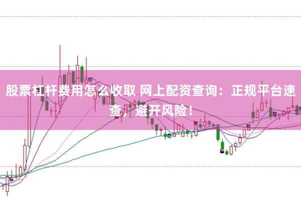 股票杠杆费用怎么收取 网上配资查询：正规平台速查，避开风险！