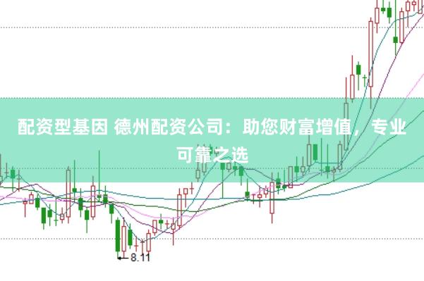 配资型基因 德州配资公司：助您财富增值，专业可靠之选