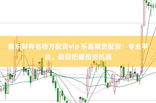 鑫东财有名杨方配资vip 乐昌期货配资：专业平台，助您把握投资机遇
